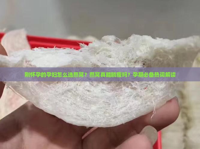 刚怀孕的孕妇怎么选燕窝？燕窝真能躺瘦吗？孕期必备热词解读