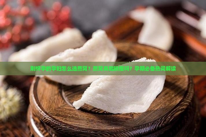 刚怀孕的孕妇怎么选燕窝？燕窝真能躺瘦吗？孕期必备热词解读