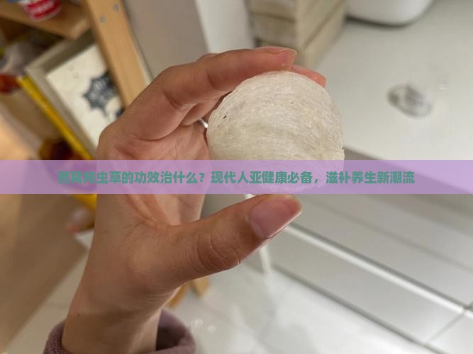 燕窝炖虫草的功效治什么？现代人亚健康必备，滋补养生新潮流