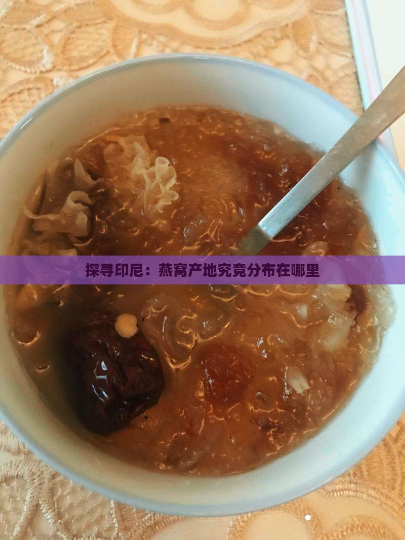 探寻印尼：燕窝产地究竟分布在哪里