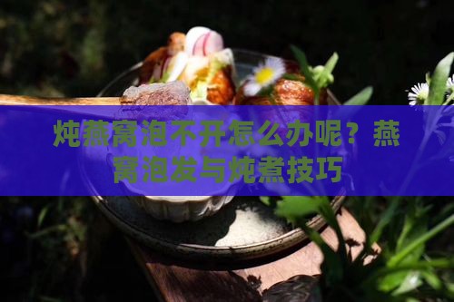 炖燕窝泡不开怎么办呢？燕窝泡发与炖煮技巧
