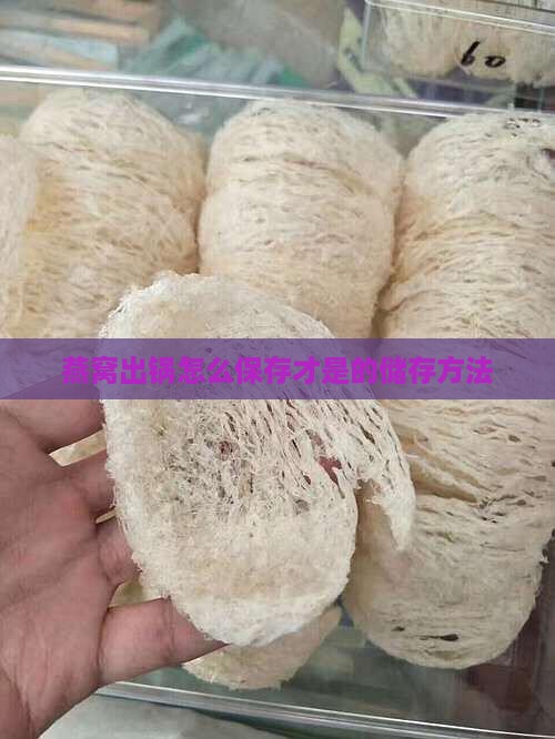 燕窝出锅怎么保存才是的储存方法