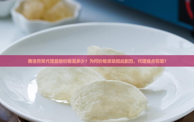 商洛燕窝代理最新价格是多少？为何价格波动如此剧烈，代理痛点在哪？