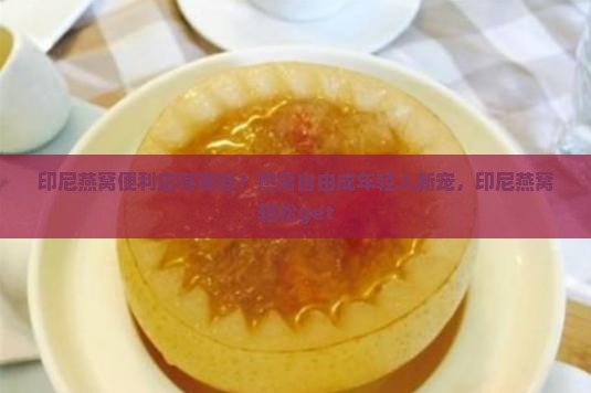 印尼燕窝便利店有哪些？燕窝自由成年轻人新宠，印尼燕窝轻松get