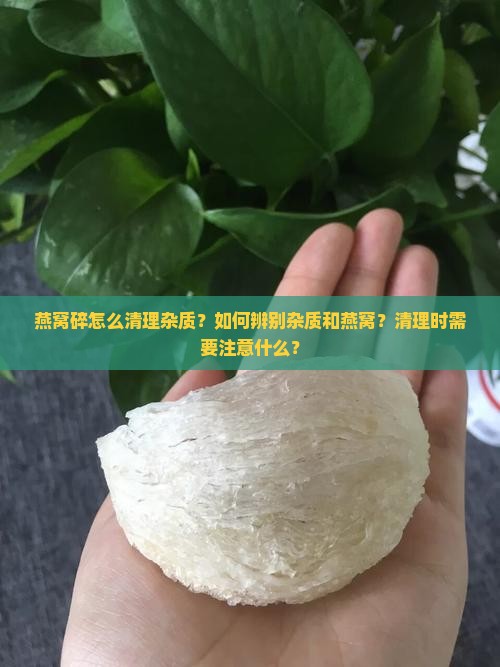 燕窝碎怎么清理杂质？如何辨别杂质和燕窝？清理时需要注意什么？