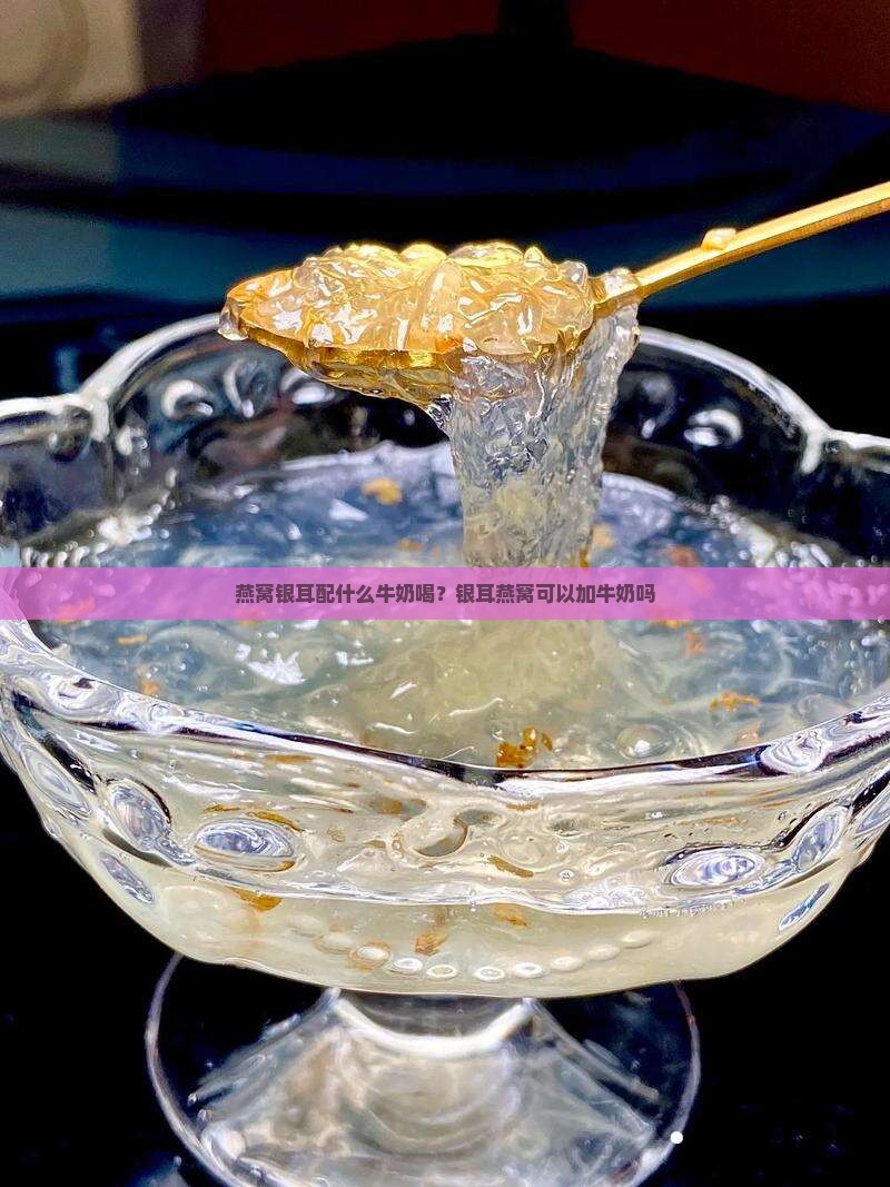燕窝银耳配什么牛奶喝？银耳燕窝可以加牛奶吗