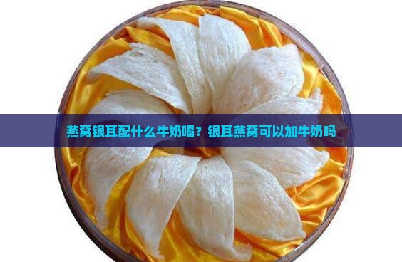 燕窝银耳配什么牛奶喝？银耳燕窝可以加牛奶吗
