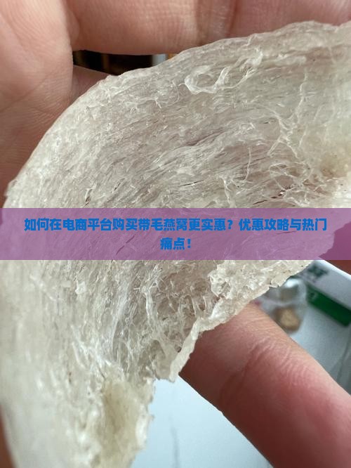 如何在电商平台购买带毛燕窝更实惠？优惠攻略与热门痛点！