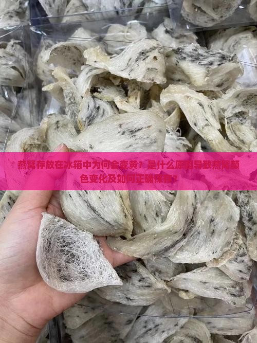 燕窝存放在冰箱中为何会变黄？是什么原因导致燕窝颜色变化及如何正确保存？