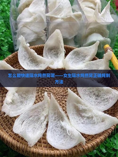 怎么能快速隔水炖燕窝呢——女生隔水炖燕窝正确炖制方法