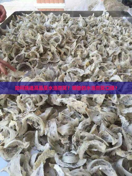 如何挑选高品质水泡燕窝？哪些的水泡燕窝口碑？