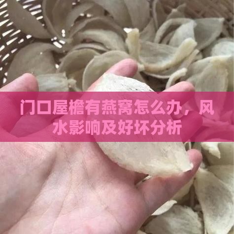 门口屋檐有燕窝怎么办，风水影响及好坏分析