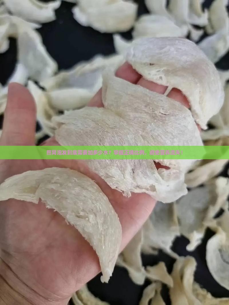 燕窝泡发到底需要加多少水？掌握正确比例，避免营养流失！