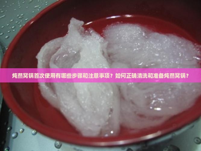 炖燕窝锅首次使用有哪些步骤和注意事项？如何正确清洗和准备炖燕窝锅？