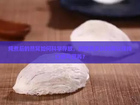炖煮后的燕窝如何科学存放，能放置多长时间以保持口感与营养？
