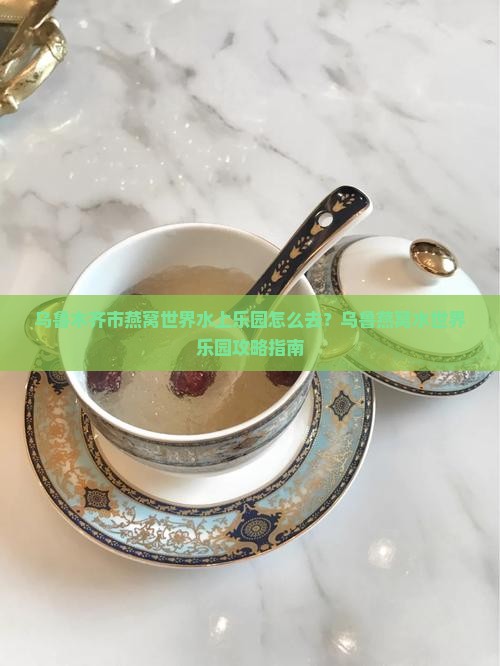 乌鲁木齐市燕窝世界水上乐园怎么去？乌鲁燕窝水世界乐园攻略指南
