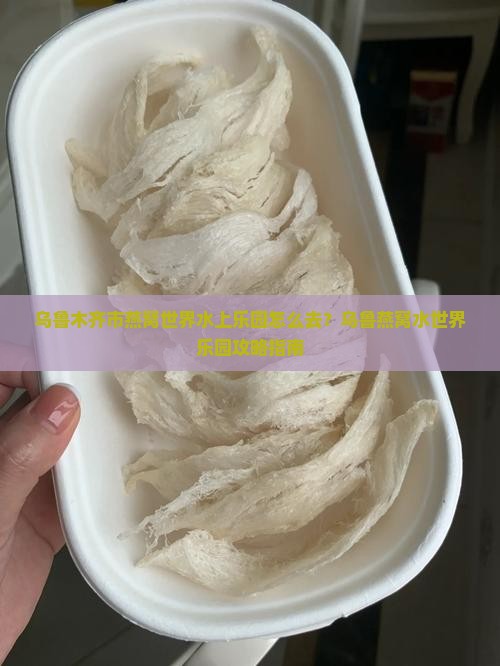 乌鲁木齐市燕窝世界水上乐园怎么去？乌鲁燕窝水世界乐园攻略指南