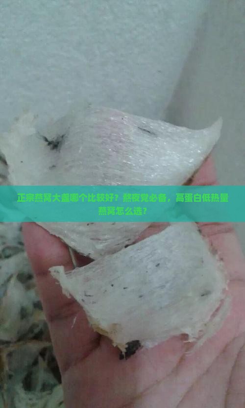 正宗燕窝大盏哪个比较好？熬夜党必备，高蛋白低热量燕窝怎么选？