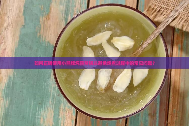 如何正确使用小熊牌炖燕窝锅以避免炖煮过程中的常见问题？