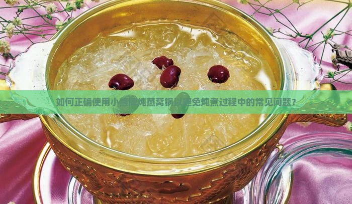 如何正确使用小熊牌炖燕窝锅以避免炖煮过程中的常见问题？