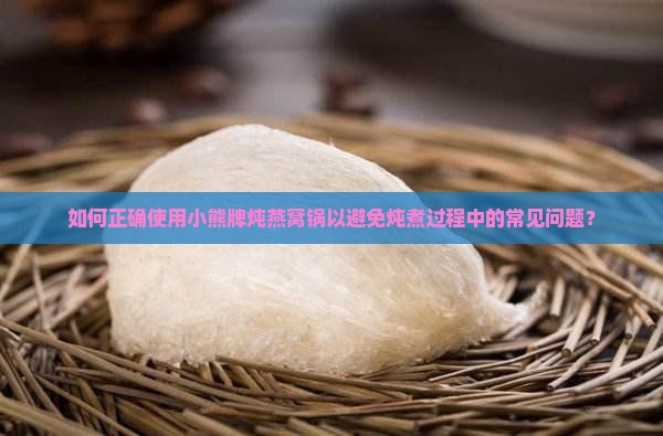 如何正确使用小熊牌炖燕窝锅以避免炖煮过程中的常见问题？