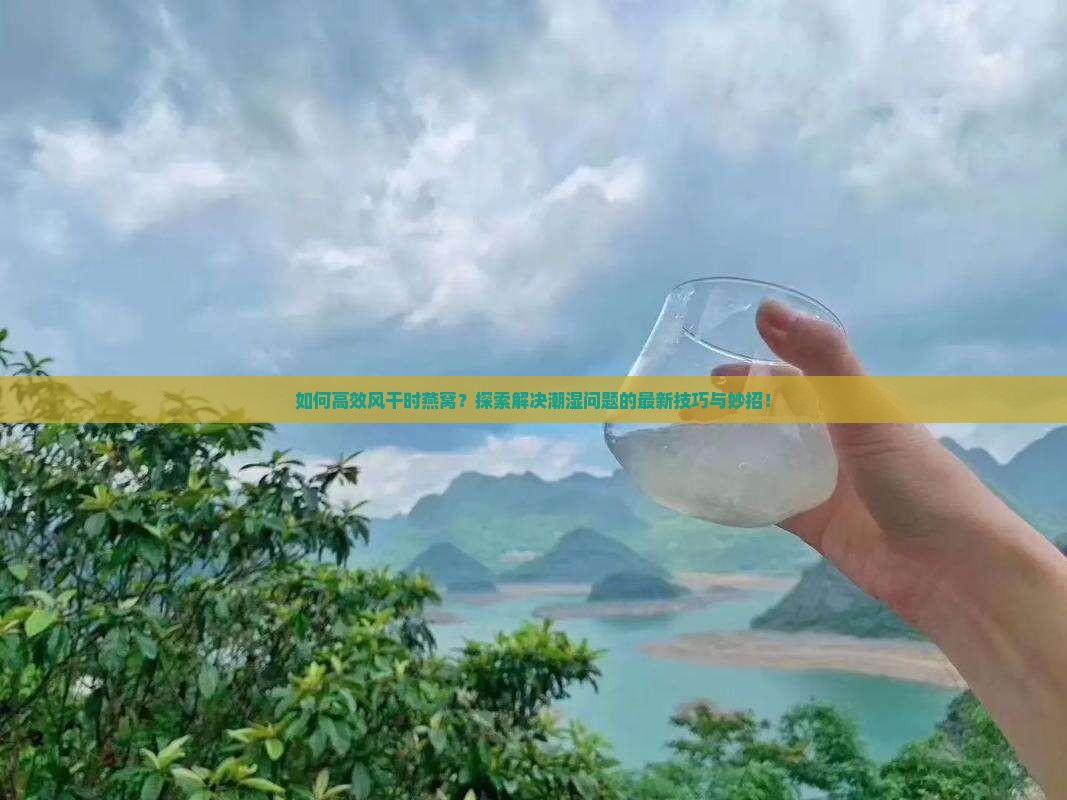 如何高效风干时燕窝？探索解决潮湿问题的最新技巧与妙招！