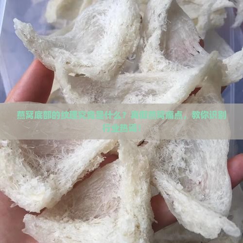 燕窝底部的纹理究竟是什么？真假燕窝痛点，教你识别行业热词！