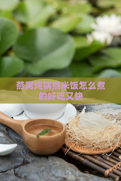 燕窝炖锅煮米饭怎么煮的好吃又快
