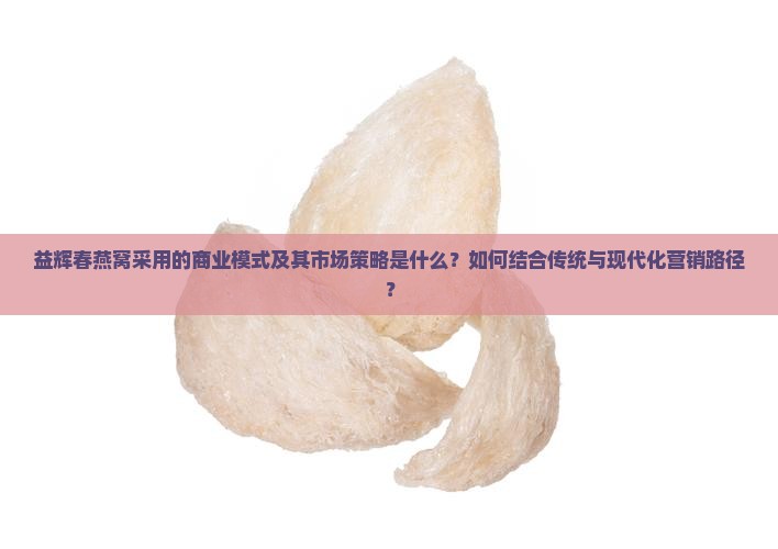 益辉春燕窝采用的商业模式及其市场策略是什么？如何结合传统与现代化营销路径？