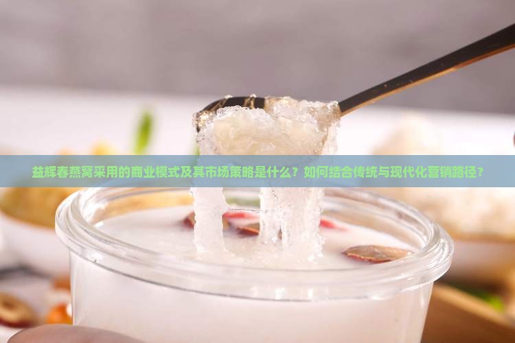 益辉春燕窝采用的商业模式及其市场策略是什么？如何结合传统与现代化营销路径？