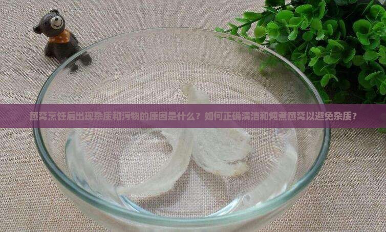 燕窝烹饪后出现杂质和污物的原因是什么？如何正确清洁和炖煮燕窝以避免杂质？