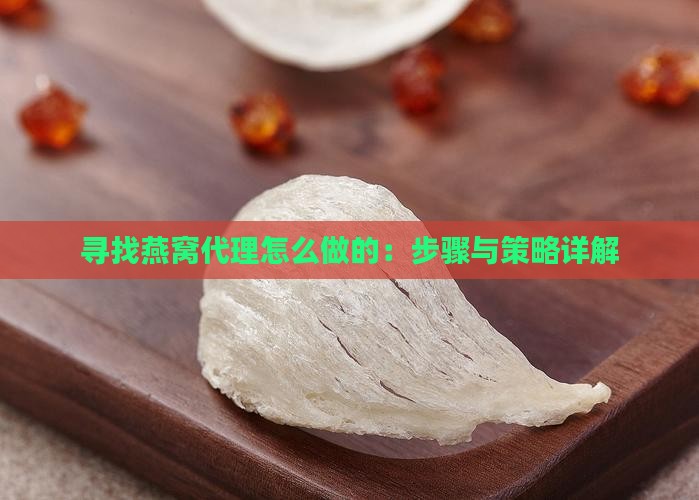 寻找燕窝代理怎么做的：步骤与策略详解