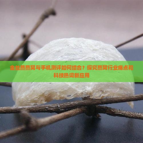 金丝燕燕窝与手机测评如何结合？探究燕窝行业痛点和科技热词新应用