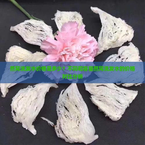 燕窝洗发水价格是多少？不同和容量燕窝洗发水的价格对比分析