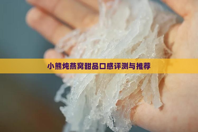 小熊炖燕窝甜品口感评测与推荐