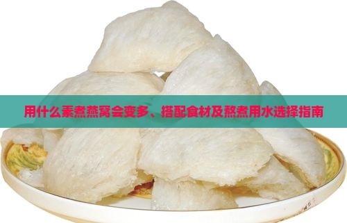 用什么素煮燕窝会变多、搭配食材及熬煮用水选择指南