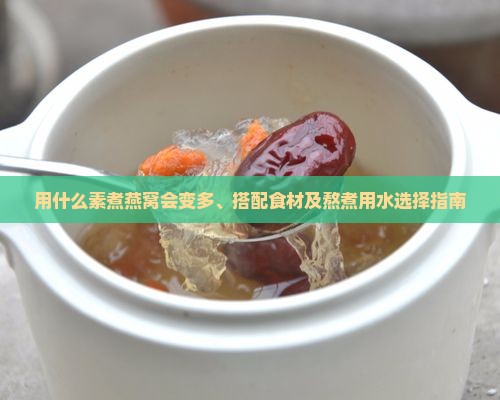 用什么素煮燕窝会变多、搭配食材及熬煮用水选择指南