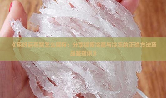 《炖好后燕窝怎么保存：分享隔夜冷藏与冷冻的正确方法及品鉴知识》