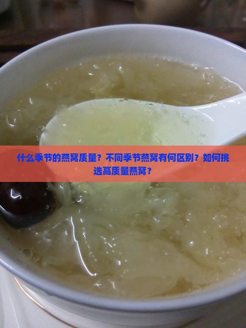 什么季节的燕窝质量？不同季节燕窝有何区别？如何挑选高质量燕窝？