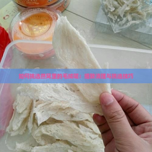 如何挑选燕窝里的毛绒呢：细致清理与挑选技巧