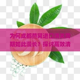 为何成都燕窝进口清关周期如此漫长？探讨高效清关痛点与热门解决方案！