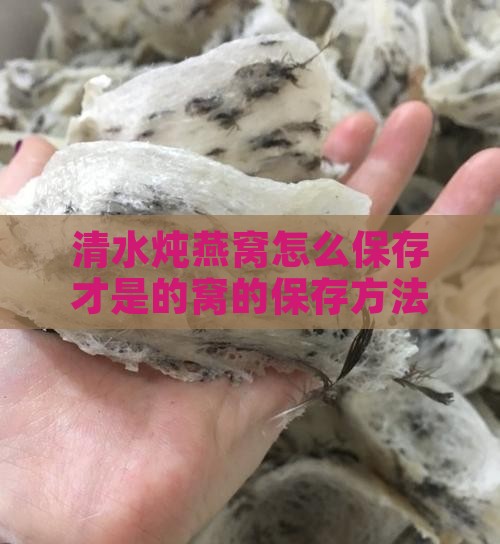 清水炖燕窝怎么保存才是的窝的保存方法