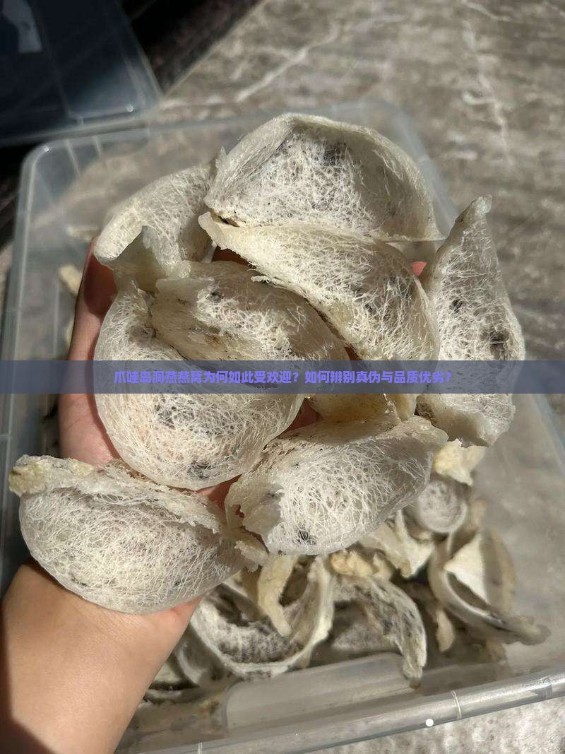 爪哇岛洞燕燕窝为何如此受欢迎？如何辨别真伪与品质优劣？