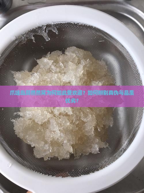 爪哇岛洞燕燕窝为何如此受欢迎？如何辨别真伪与品质优劣？
