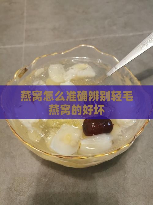 燕窝怎么准确辨别轻毛燕窝的好坏