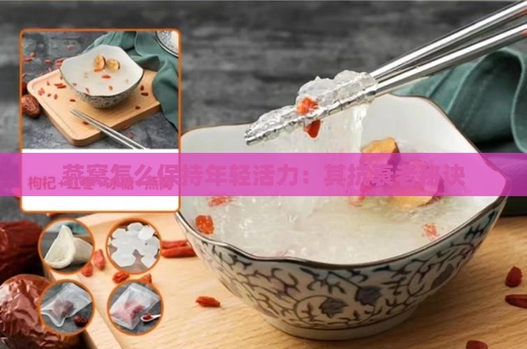 燕窝怎么保持年轻活力：其抗衰老秘诀