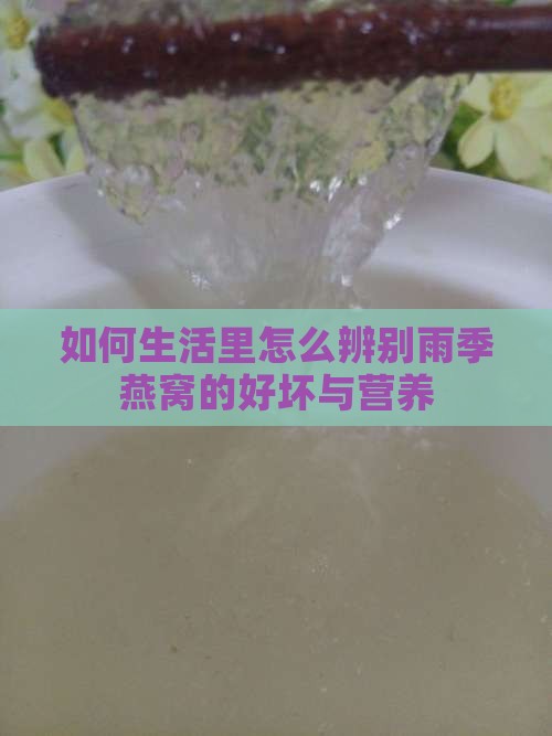 如何生活里怎么辨别雨季燕窝的好坏与营养