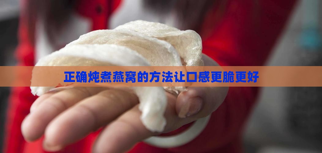 正确炖煮燕窝的方法让口感更脆更好