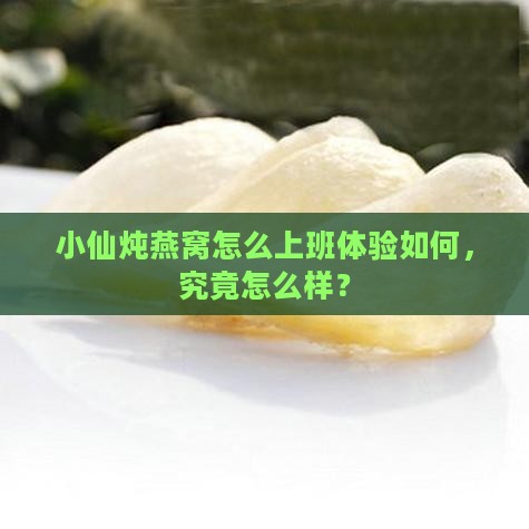 小仙炖燕窝怎么上班体验如何，究竟怎么样？