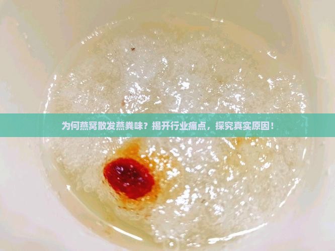 为何燕窝散发燕粪味？揭开行业痛点，探究真实原因！